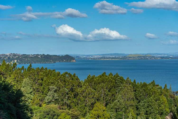 40 Otitori Bay Road Titirangi_24