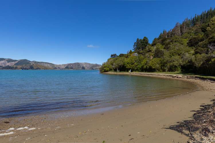 1815 Port Underwood Road Port Underwood_15