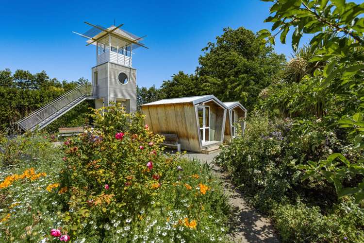 2124 State Highway 1 Spring Creek_19