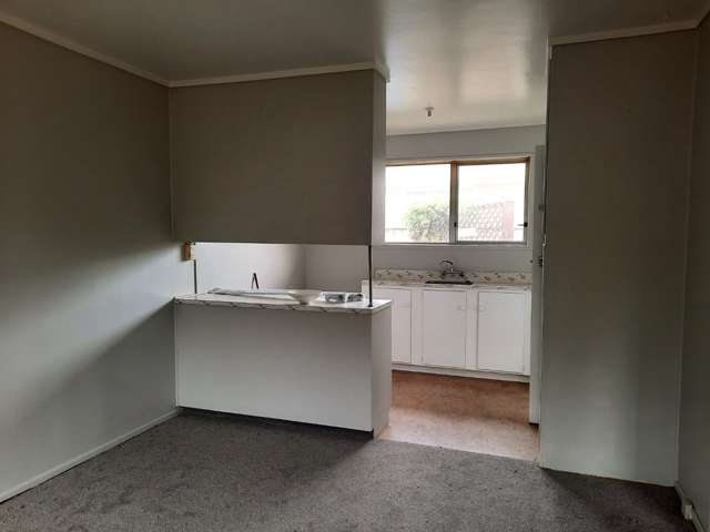 4/3 Albert Street Otahuhu_1