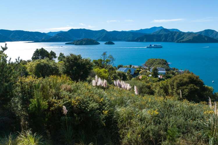 318 Port Underwood Road Waikawa_15