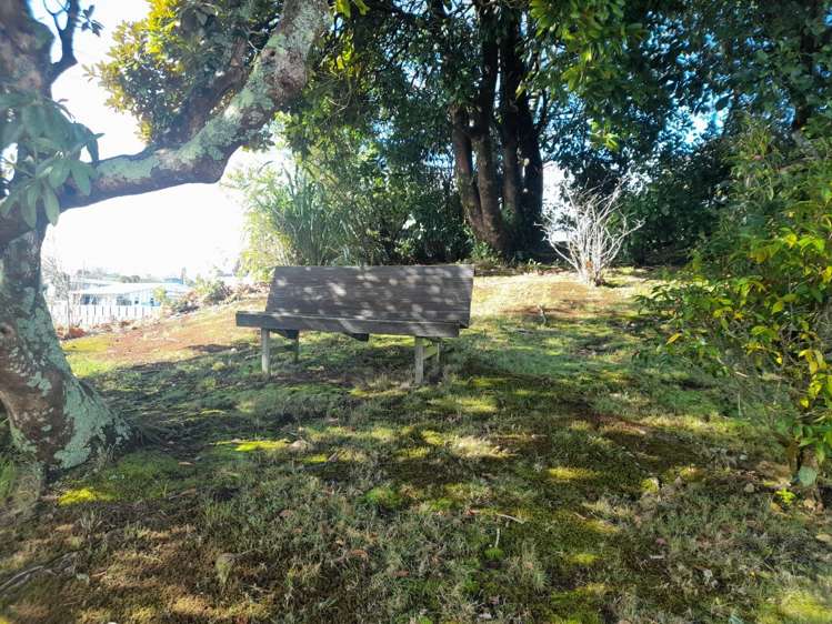 23 Puriri Street 11201_3