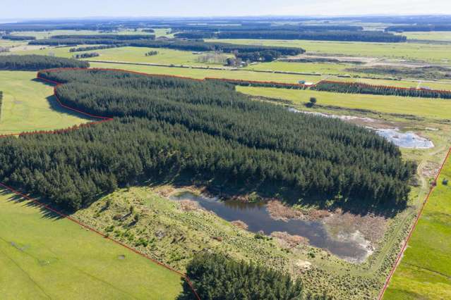 725 Raumai Road Bulls_2