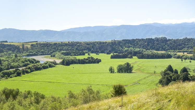 429 Riverside Road Martinborough_18