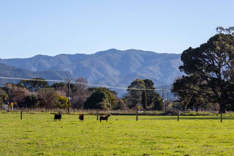 Lot 3 South Featherston Road Featherston_10