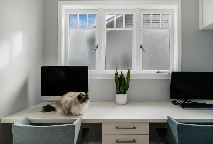 21 Dignan Street Point Chevalier_17