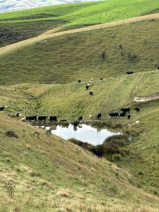 612 Oven Hill Road Lake Onslow_4