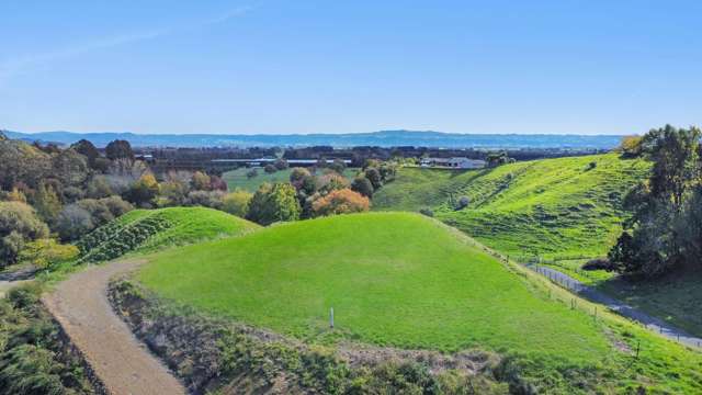 Otumahi Lane Whakatane_1