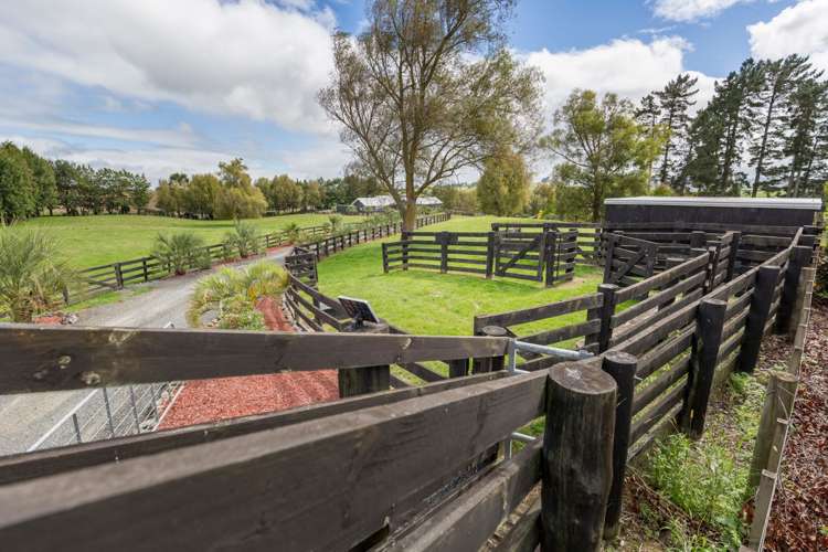 223a Waerenga Road Te Kauwhata_11