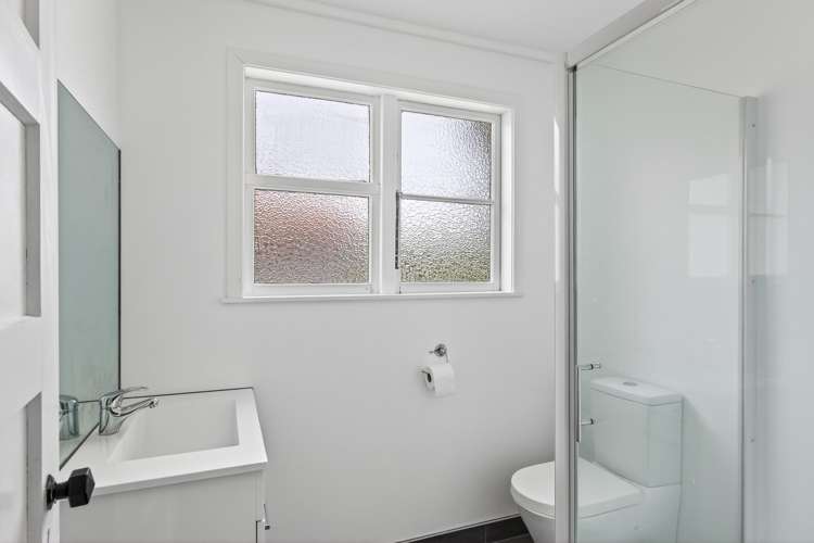 29 Abbott Street Te Hapara_20