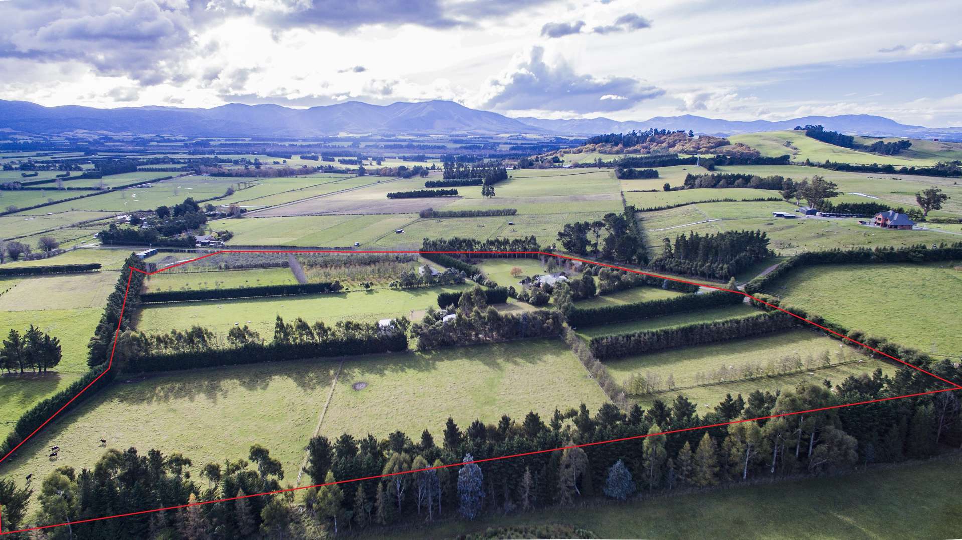 251 Elliotts Road Cust Waimakariri Houses for Sale One Roof