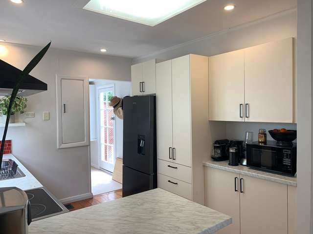 43 Old Mill Road Grey Lynn_4