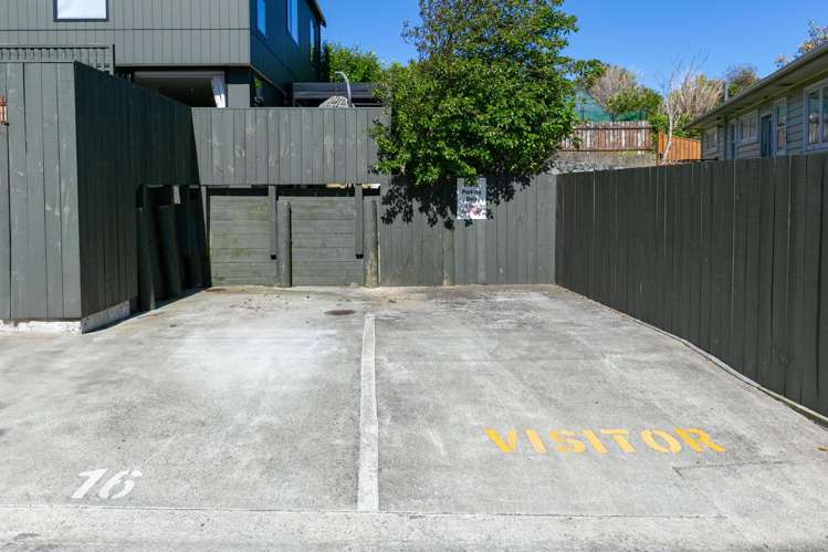 16/6 Oswald Crescent Paparangi_14