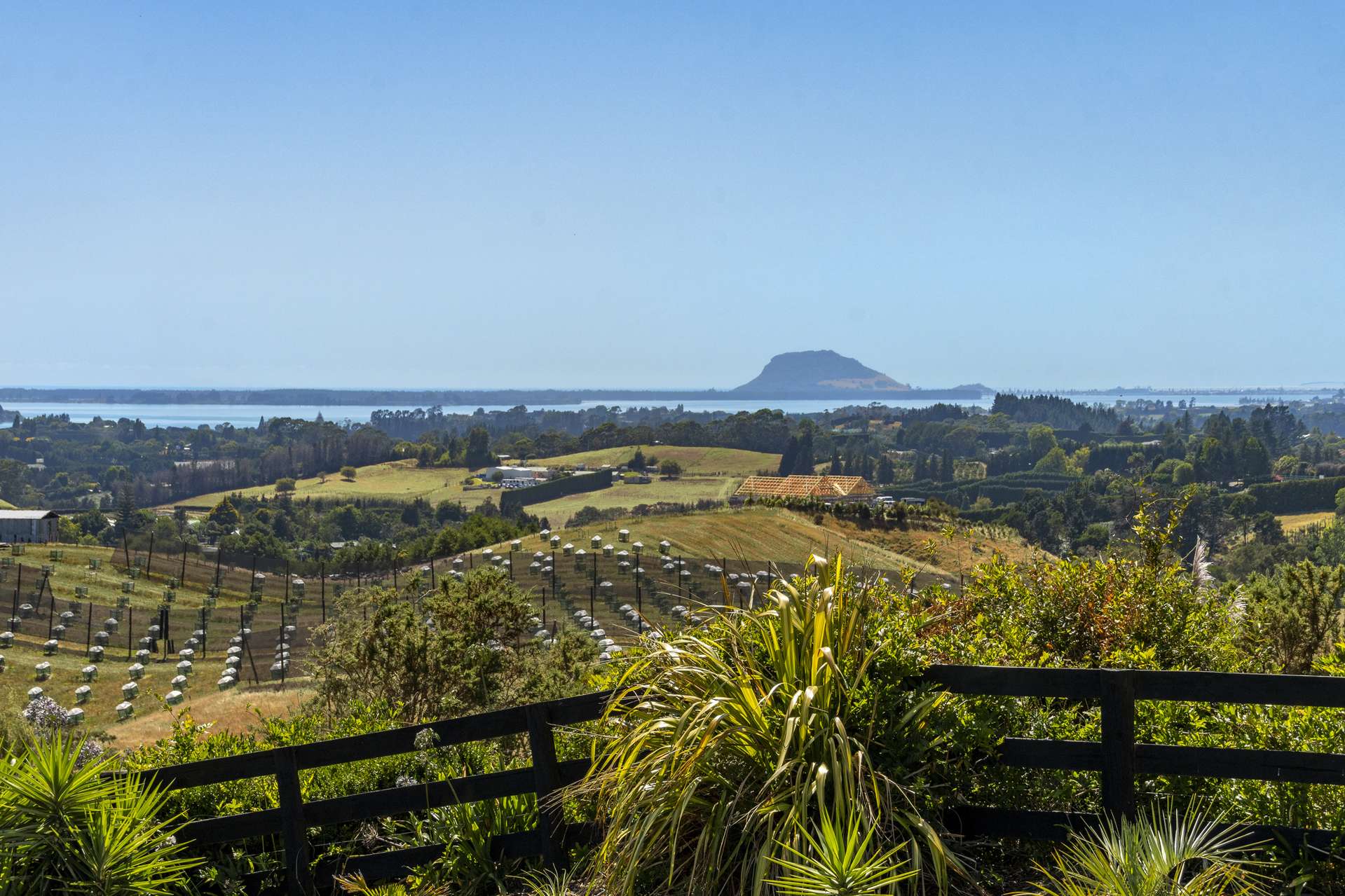 286 Youngson Road Whakamarama_0