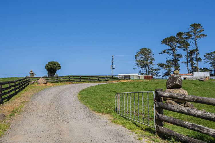 24 Foster Road Dargaville Surrounds_16