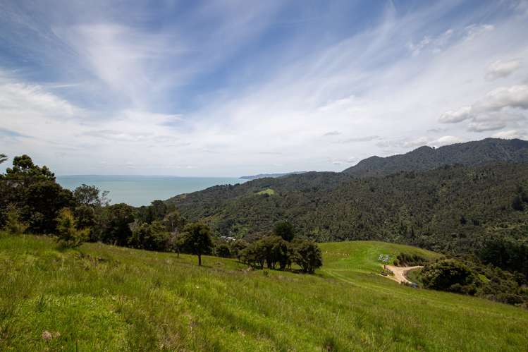 60 Waiomu Valley Road Waiomu_19