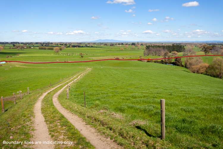 968 Tauhei Road Tauhei_11