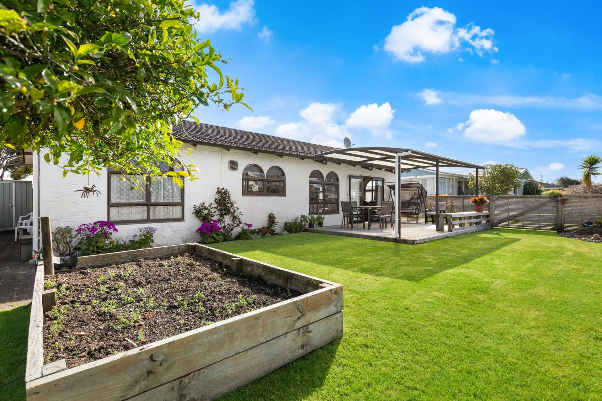 3a David Street Morrinsville_0