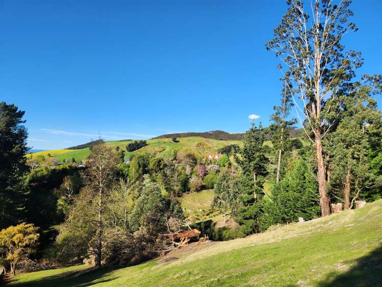 14 GULL STREET Waihola_7