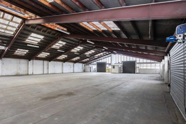 60 Buchan Street Sydenham_3