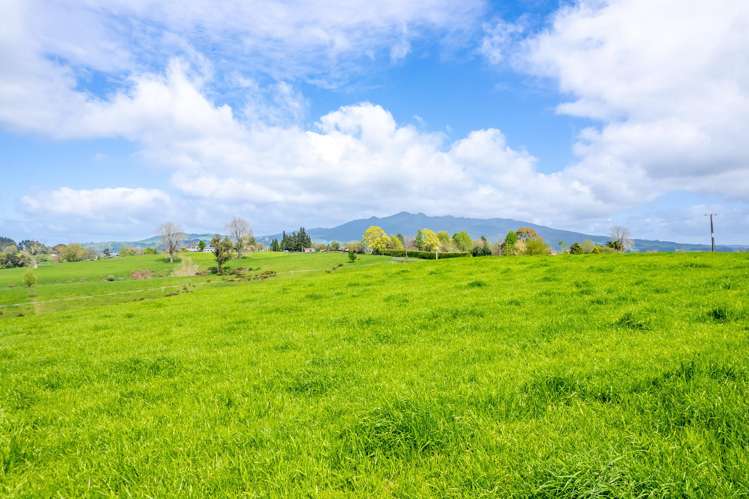 Lot 3 Bird Road Pirongia_10