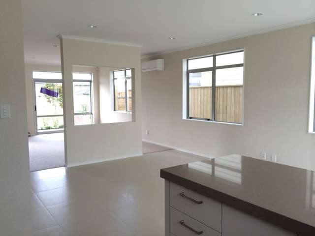 23 Sycamore Street Flat Bush_4