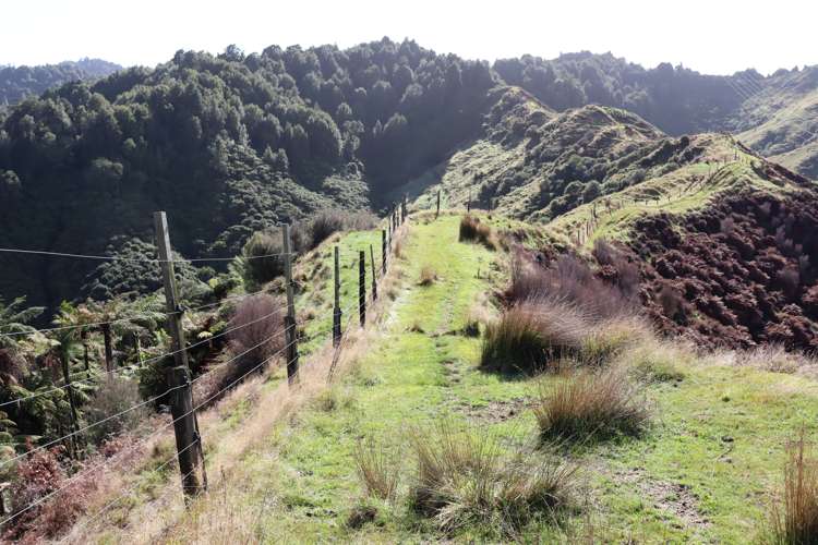 4869 Ohura Road Pohokura_25