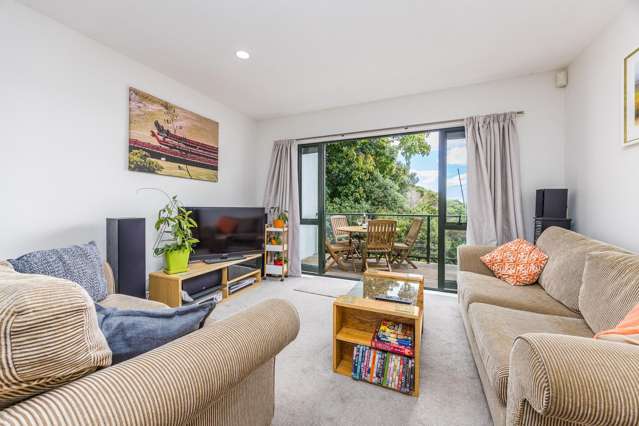 3b Laxon Terrace Remuera_2