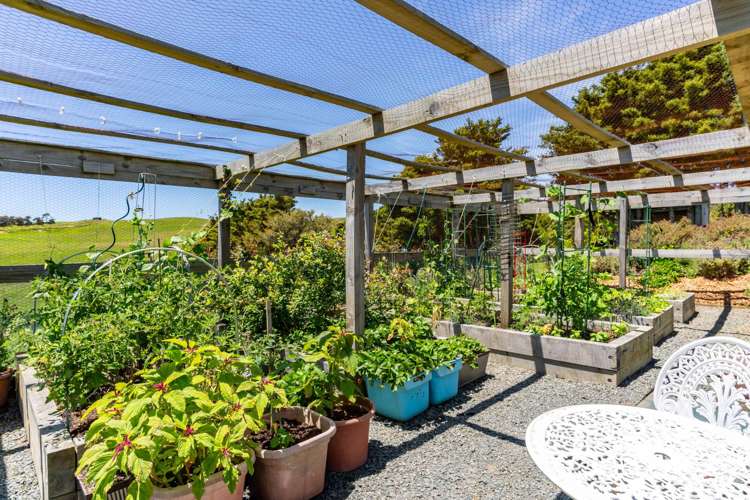 37 Cotton Lane Mangawhai_22