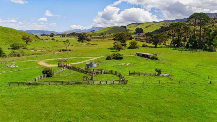 Mangaraupiu Road Eketahuna_1