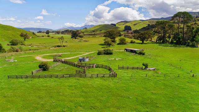 Mangaraupiu Road Eketahuna_1