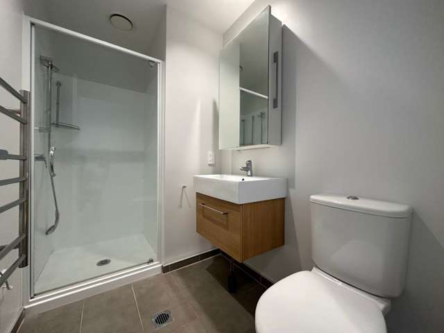 03/4g Bluegrey Avenue Stonefields_4