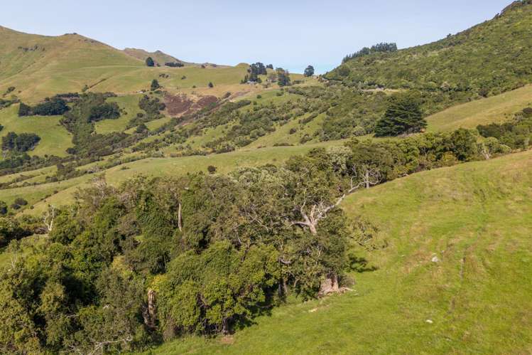 175 Barrys Bay Valley Road Barrys Bay_19