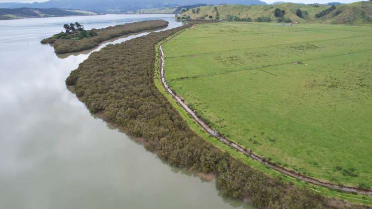 Matawera Road Kohukohu_0