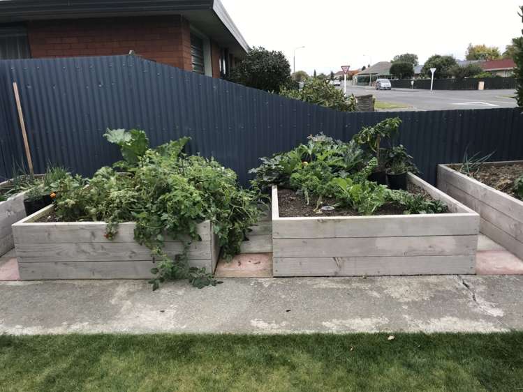 1/65 William Street Ashburton_6