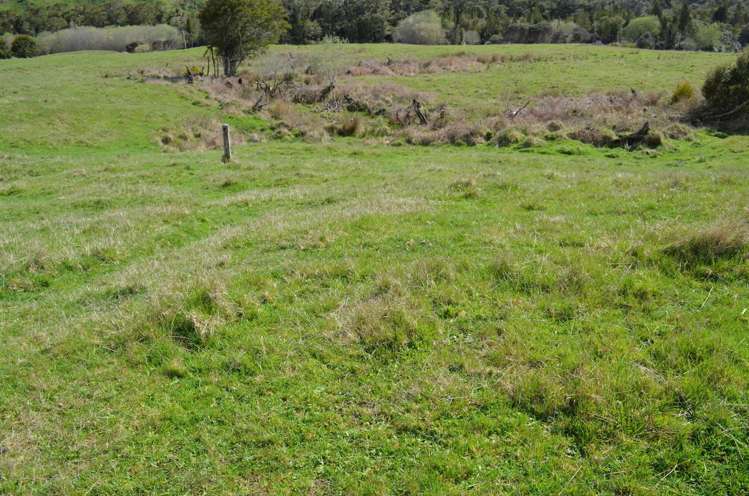 1539 Waitaanga Road Ohura_14