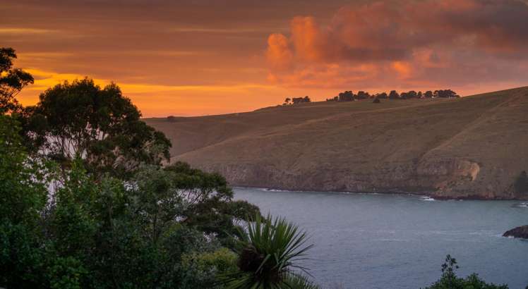 141 Taylors Mistake Road Scarborough_7