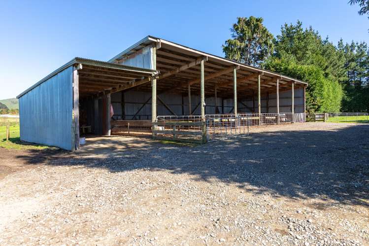 100 Inglis Road Pahiatua_16