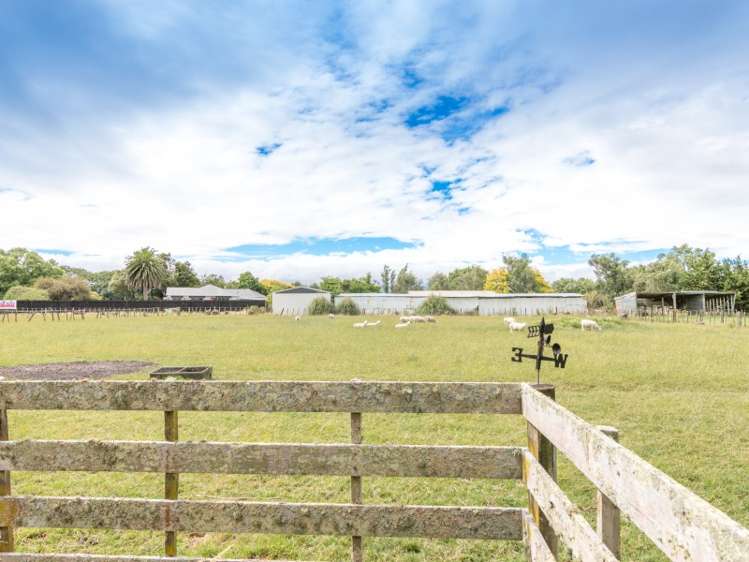 16 Te Wanaka Road Awapuni_13