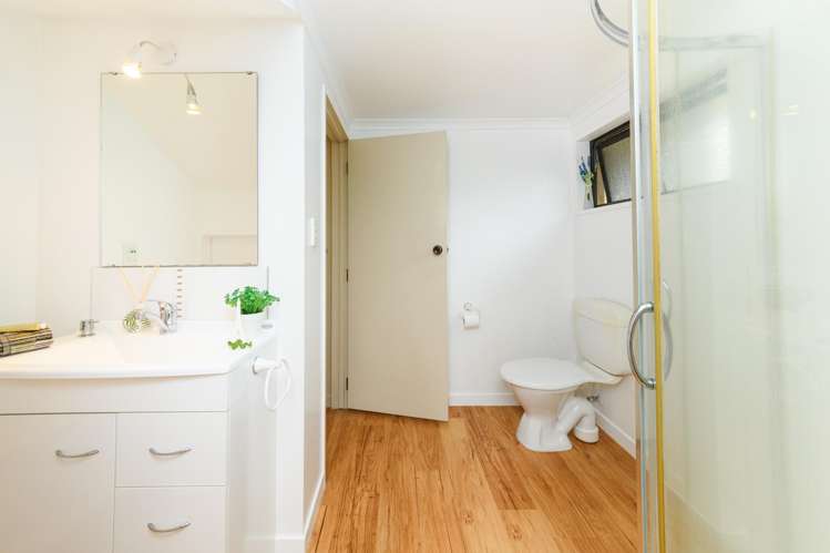 45 Buick Crescent Awapuni_14