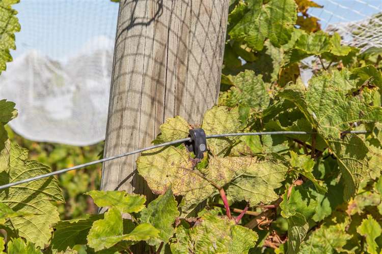 73 Mackenzies Road Waipara_20