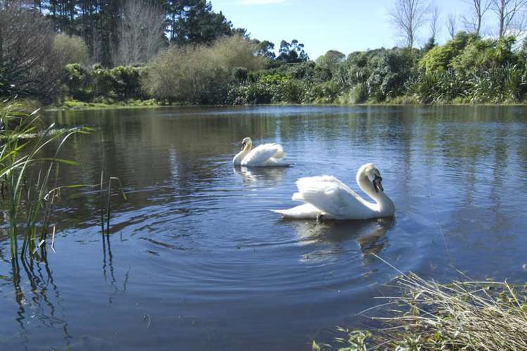 901 South Head Road South Head_17