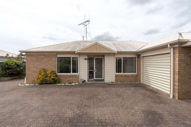 30b Brooklyn Road Claudelands_2