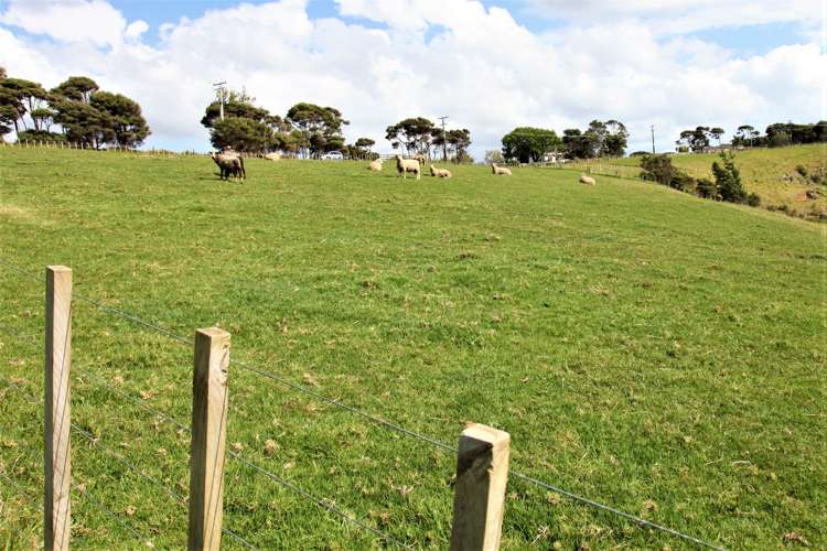 152 Evans Road Papamoa_4