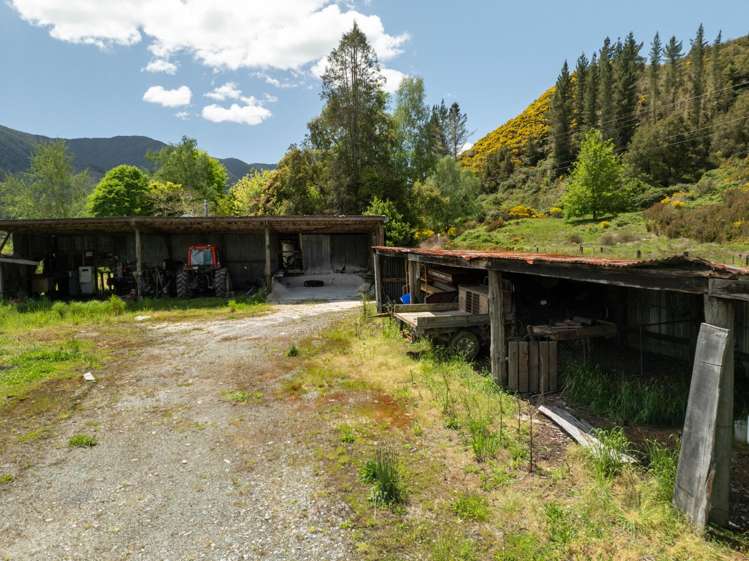 2154 Shenandoah Highway Murchison_18