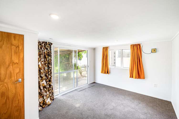 5 Plunket Street Tamatea_4