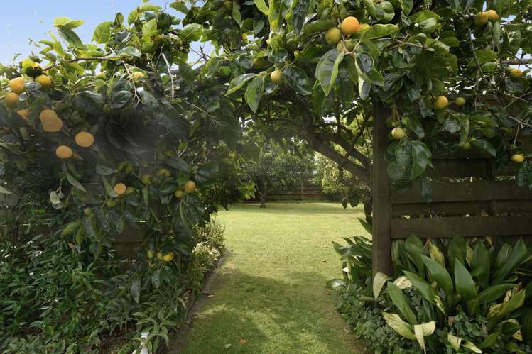 33 Lydbrook Place Otumoetai_17