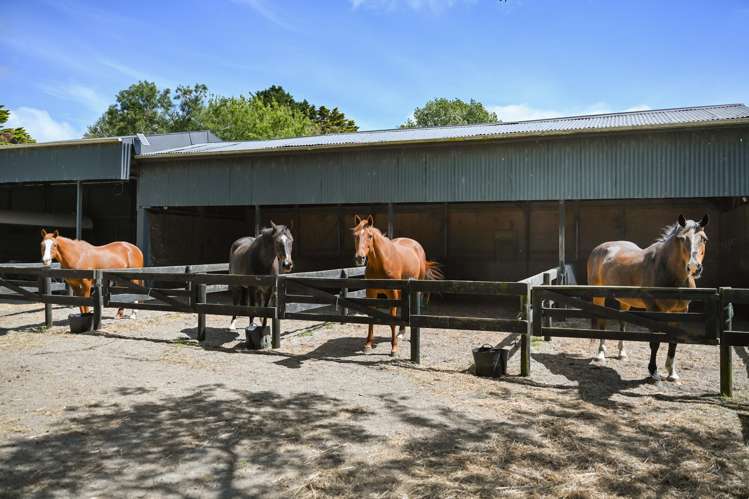 509 Marychurch Road Matangi_38