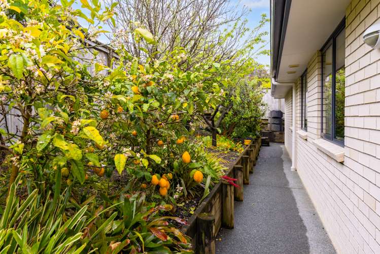 6 Estuary Close Warkworth_21