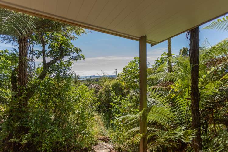 617 State Highway 41 Tokaanu_15